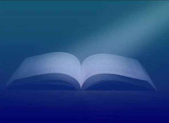 VISION.png